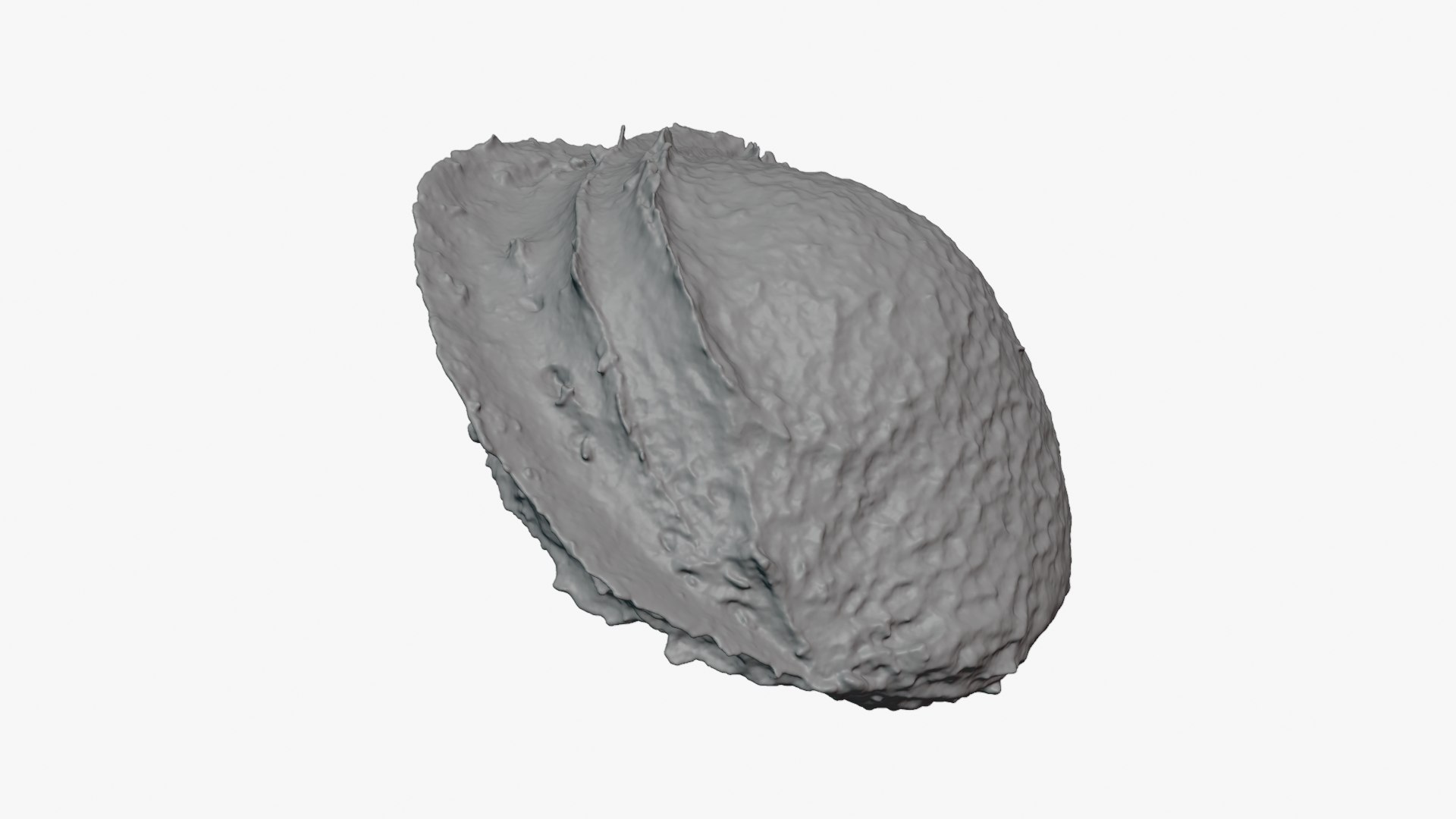 3D Apricot Kernel - For 3D Print https://p.turbosquid.com/ts-thumb/5Z/UiFEtw/Zy/apricotseed_0009/png/1784495585/1920x1080/fit_q87/26430d5a9c6890a42c9809985cbab48e7989117f/apricotseed_0009.jpg