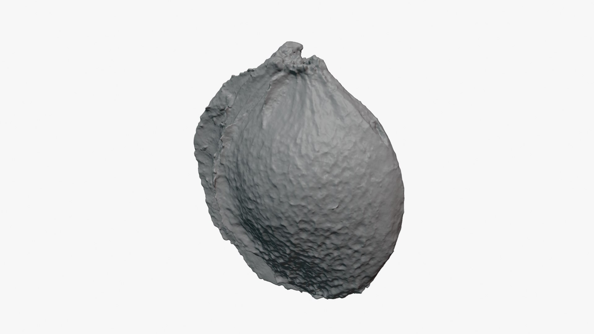 3D Apricot Kernel - For 3D Print https://p.turbosquid.com/ts-thumb/5Z/UiFEtw/lZ/apricotseed_0002/png/1784495558/1920x1080/fit_q87/18bacc1b80e9d30811c9fa72b37a5416aba3629b/apricotseed_0002.jpg