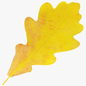Oak Leaf V2