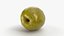 Cracked Olive 03 - 3D Scanned