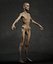 Skinny Human Anatomy