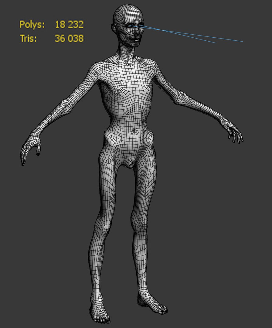 rigging face animation model https://p.turbosquid.com/ts-thumb/5a/2lxDPX/5L/wire/jpg/1651337610/1920x1080/fit_q87/9329af99c6b9b1853104755a92347264bdeff4d0/wire.jpg
