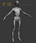Skinny Human Anatomy