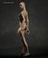 Skinny Human Anatomy