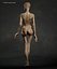 Skinny Human Anatomy
