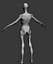 Skinny Human Anatomy
