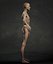 Skinny Human Anatomy