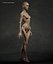 Skinny Human Anatomy
