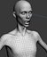 Skinny Human Anatomy