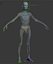 Skinny Human Anatomy