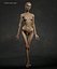 Skinny Human Anatomy