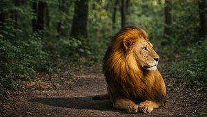 3D lion 1