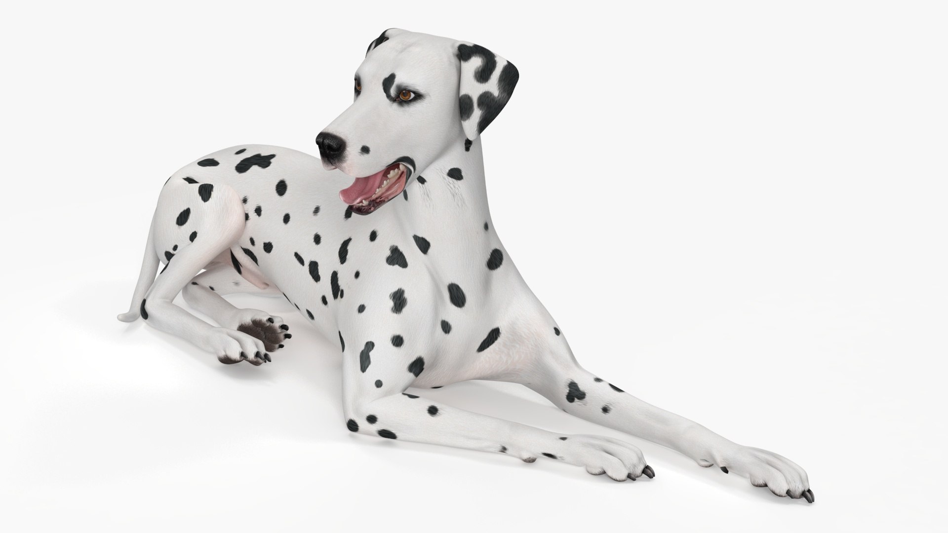 Lying Dalmatian Dog 3D model preview