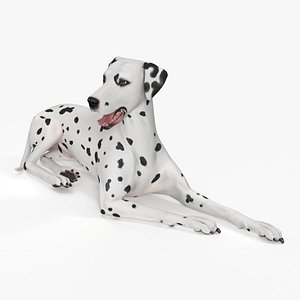 3D Lying Dalmatian Dog model