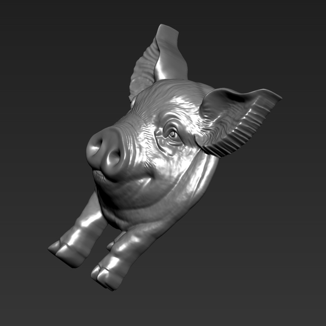3D Pig model https://p.turbosquid.com/ts-thumb/5a/T34mZQ/RO/a141_pig3/png/1752983673/1920x1080/fit_q87/cb3828ffd07ccc053620827d3484a44f08cb834c/a141_pig3.jpg