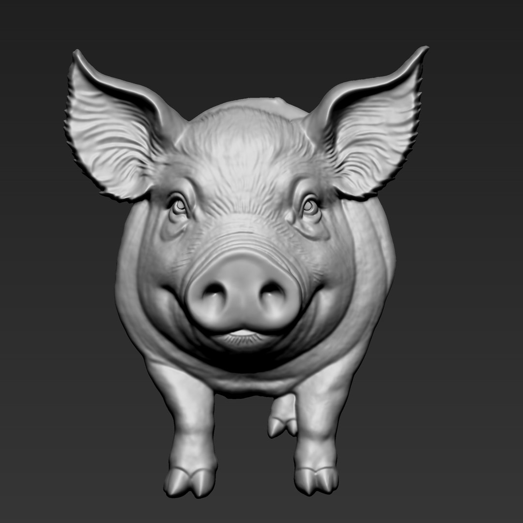 3D Pig model https://p.turbosquid.com/ts-thumb/5a/T34mZQ/eZ/a141_pig5/png/1752983709/1920x1080/fit_q87/5dbe69600d397dc1e2d6b221f5f2e14c3515023e/a141_pig5.jpg