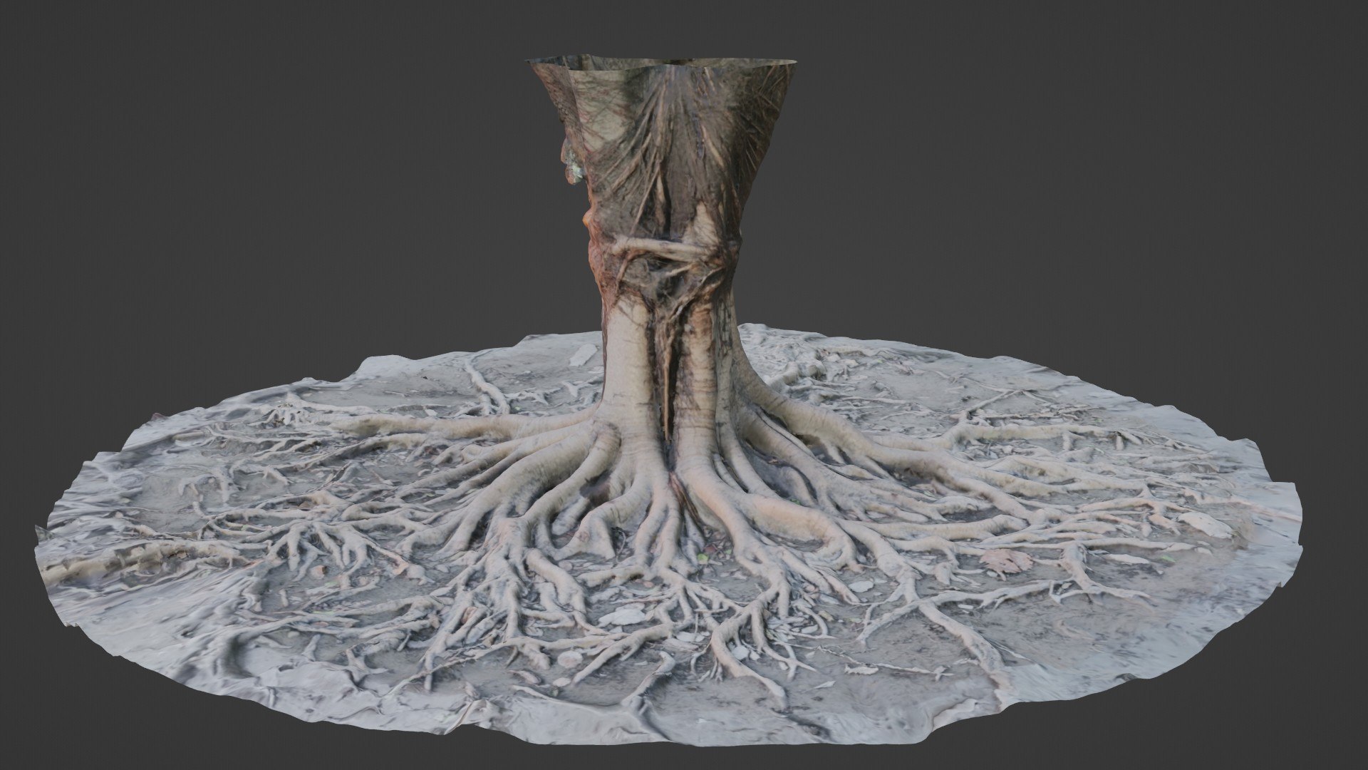 Gaint Roots Tree 3D Model - TurboSquid 2332178