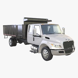International MV Extended Cab Landscape Truck