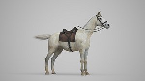 3D animal white horse