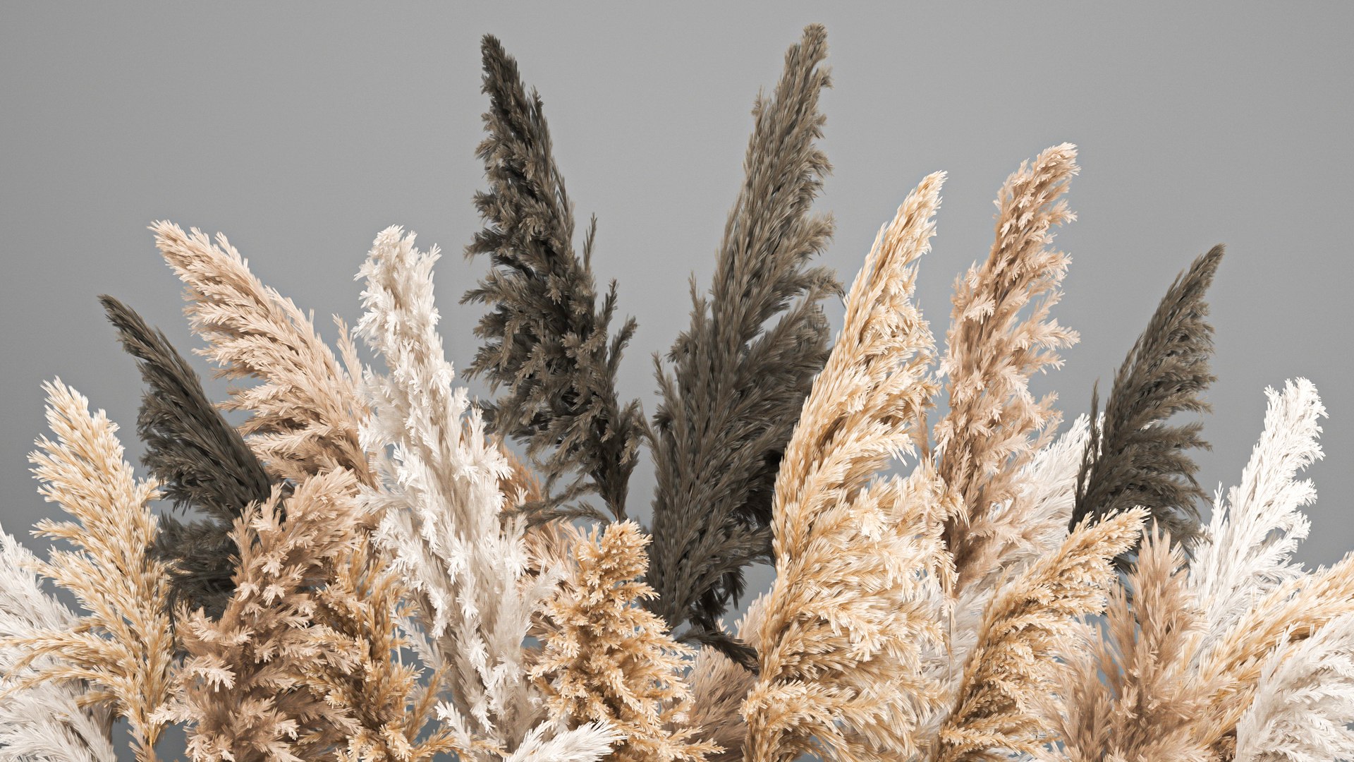 3D model Bouquet of dried reeds in a vase 186 - TurboSquid 1808407