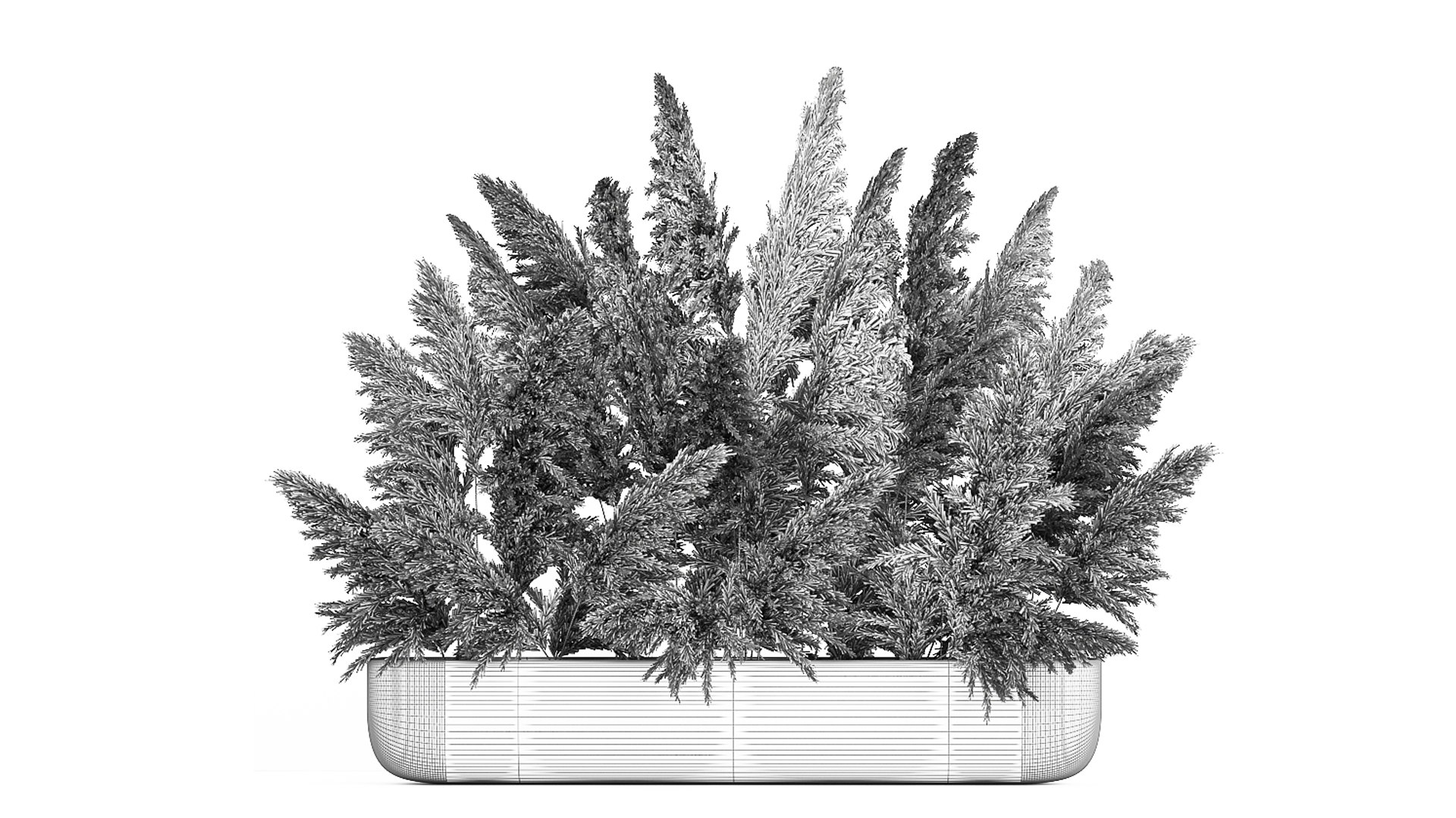 3D model Bouquet of dried reeds in a vase 186 - TurboSquid 1808407