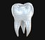 Dente molar humano