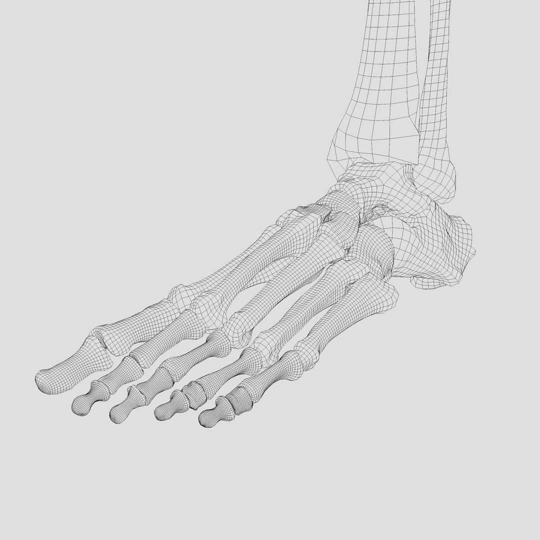 leg skeleton 3d c4d https://p.turbosquid.com/ts-thumb/5b/Nly5Wi/AQNL9bZi/8/jpg/1374325795/1920x1080/fit_q87/aa01e777b9213e47ced8b5d086a7538ed807f5b0/8.jpg