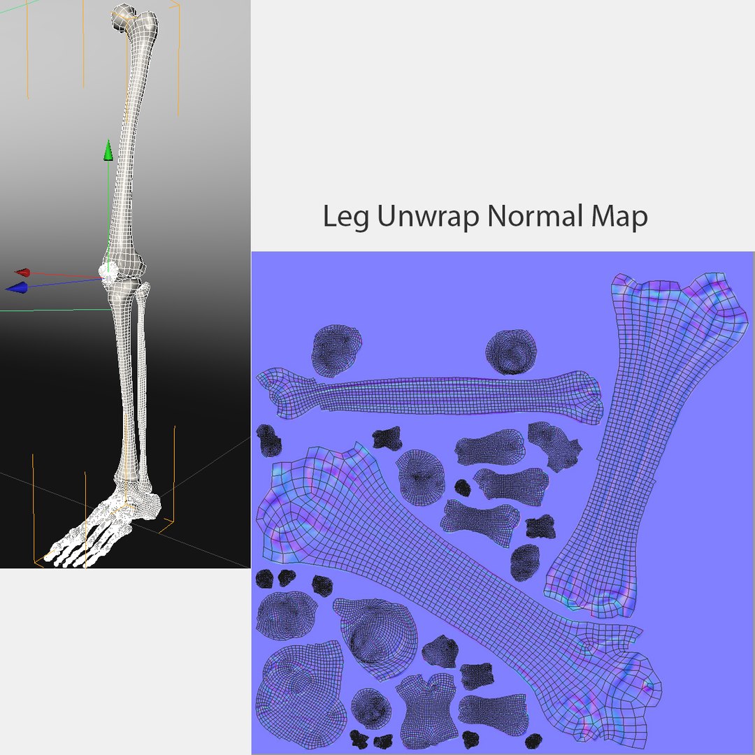 leg skeleton 3d c4d https://p.turbosquid.com/ts-thumb/5b/Nly5Wi/QnLbCra8/23leg/jpg/1372623001/1920x1080/fit_q87/03323f655a4ad7482f774f82944522e43c9431d0/23leg.jpg