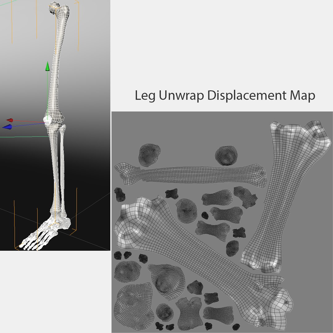 leg skeleton 3d c4d https://p.turbosquid.com/ts-thumb/5b/Nly5Wi/SxrBDz5H/24leg/jpg/1372623001/1920x1080/fit_q87/22731bbad7217decaf78c09bef9f7d46b4b79b0a/24leg.jpg