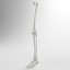 Skeleton Leg