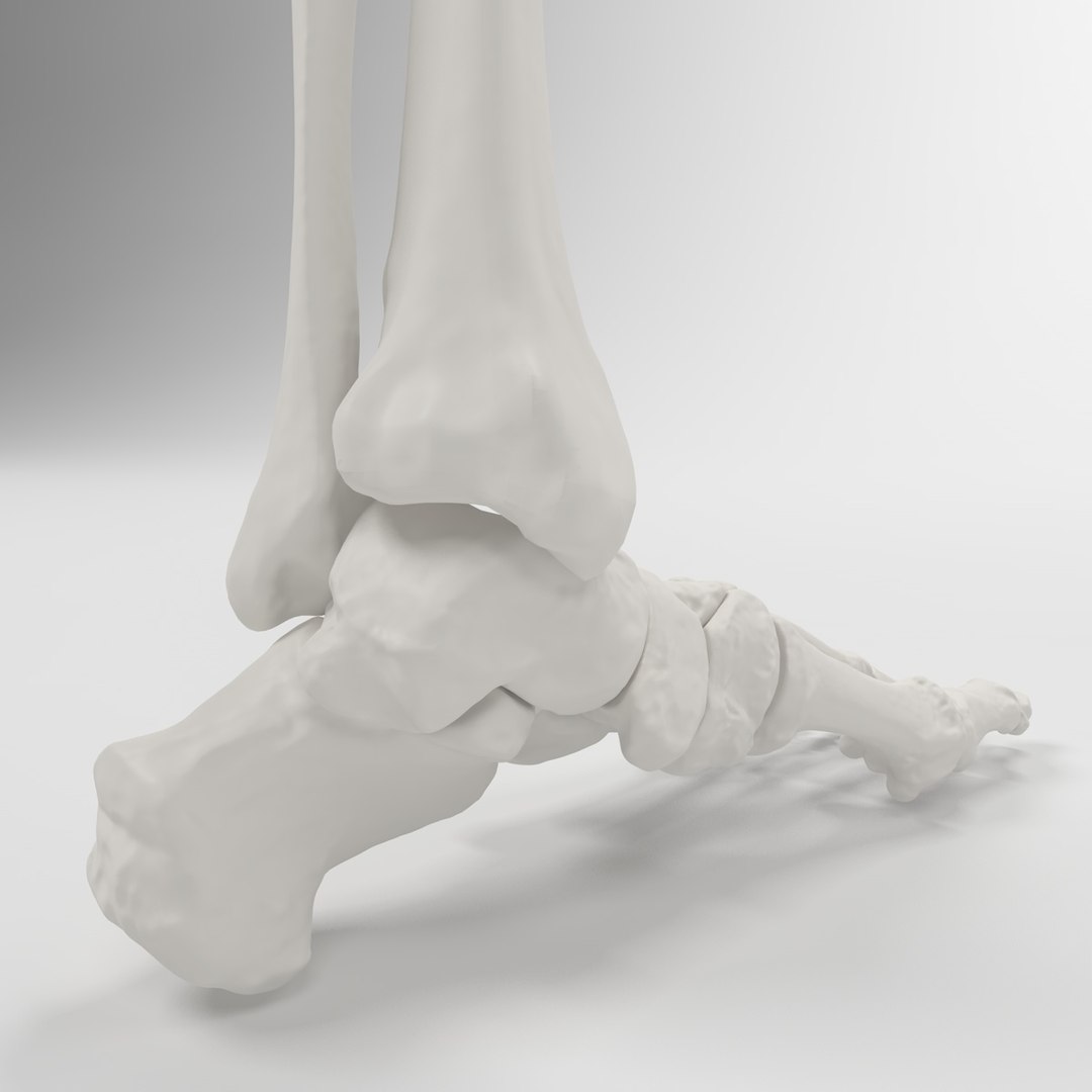 leg skeleton 3d c4d https://p.turbosquid.com/ts-thumb/5b/Nly5Wi/yyEc2U9l/3/jpg/1372623000/1920x1080/fit_q87/5e5ec12f013fddb6a8319f42d5dcf3903394eb65/3.jpg
