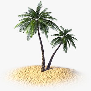 tropical palm tree 3d model