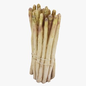 Asparagus Bunch White