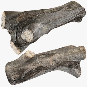 A piece of sawn wood 3d scan in highpoly 3D model