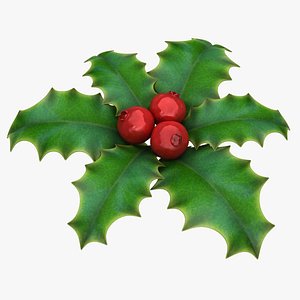 3D holly berry
