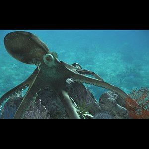 Octopus TXT