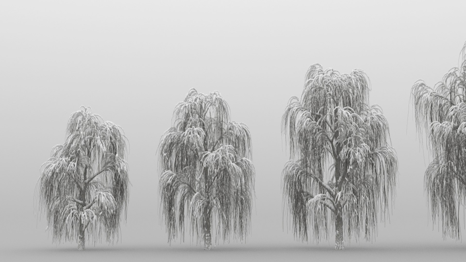 21+ Realistic Willow Tree Drawing