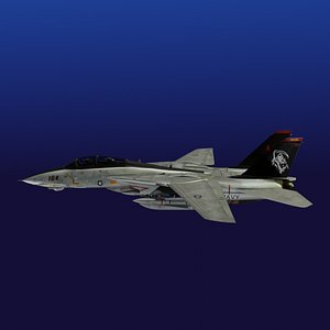 F14 Tomcat Grim Reaper