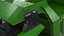 3D model Electric Autonomous Dump Truck Dirty Rigged