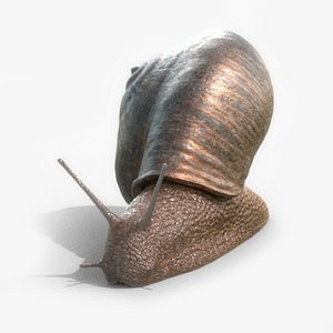 3D model snail slug animation