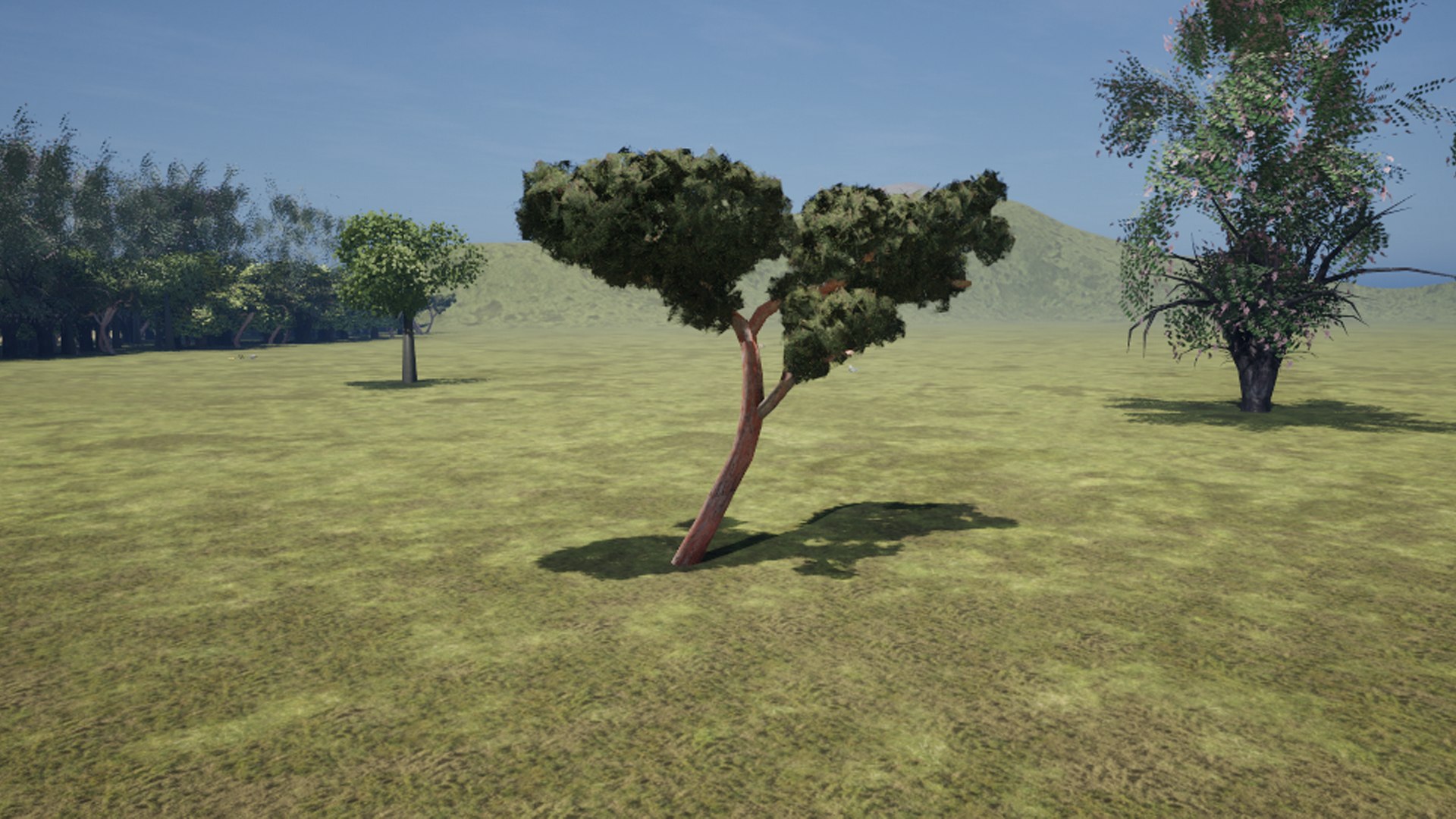 Pine For Italian Landscape 3D - TurboSquid 2322932