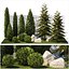 Garden with trees and bushes thuja cypress spruce and pine 1385
