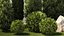Garden with trees and bushes thuja cypress spruce and pine 1385