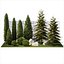 Garden with trees and bushes thuja cypress spruce and pine 1385