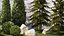 Garden with trees and bushes thuja cypress spruce and pine 1385