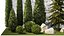 Garden with trees and bushes thuja cypress spruce and pine 1385