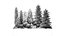 Garden with trees and bushes thuja cypress spruce and pine 1385
