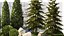 Garden with trees and bushes thuja cypress spruce and pine 1385