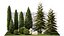 Garden with trees and bushes thuja cypress spruce and pine 1385