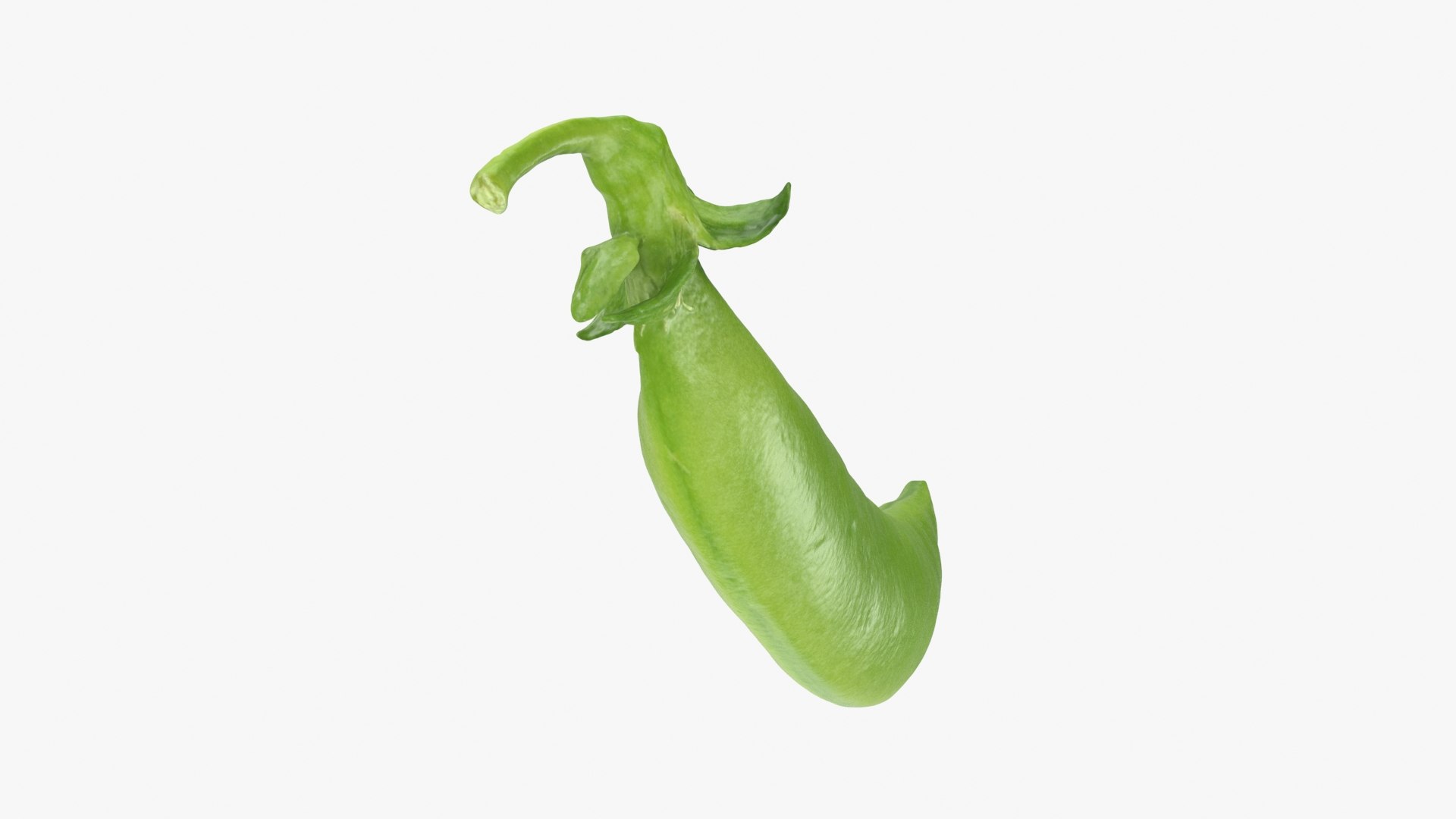 3D model Snap Pea 01 https://p.turbosquid.com/ts-thumb/5c/3NMvnX/3j/snappea01_b0022/jpg/1719993844/1920x1080/fit_q87/a4e0c1854d985b3cd4b0fdf3be1a96e5d7fc7a54/snappea01_b0022.jpg
